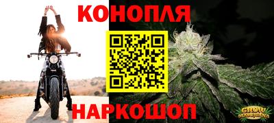 СК Анжеро-Судженск