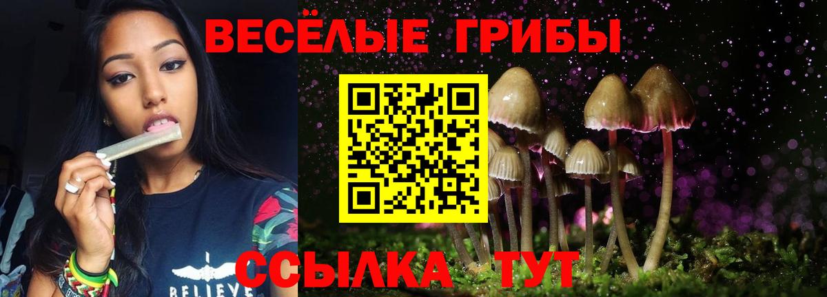 Белгород  Галлюциногенные грибы MAGIC MUSHROOMS  Вход с VPN 